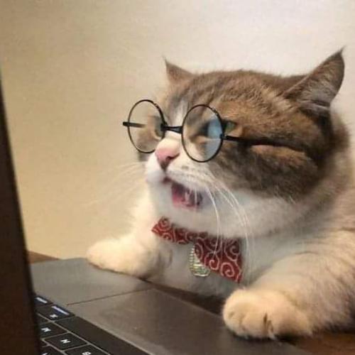 สมาชิกหมายเลข 5090408