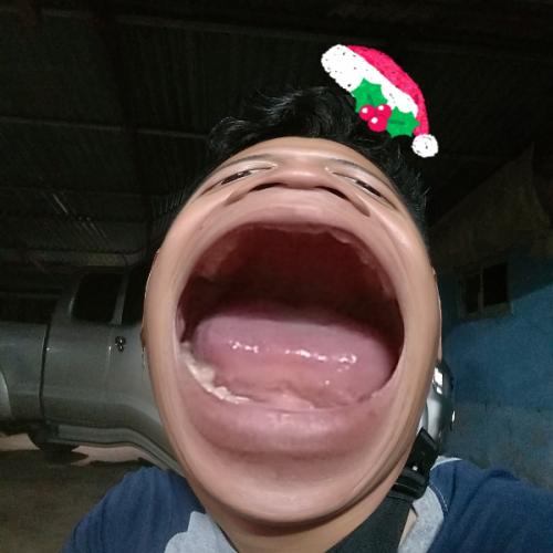 สมาชิกหมายเลข 5279098