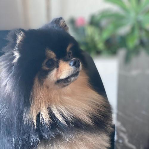 สมาชิกหมายเลข 5393488