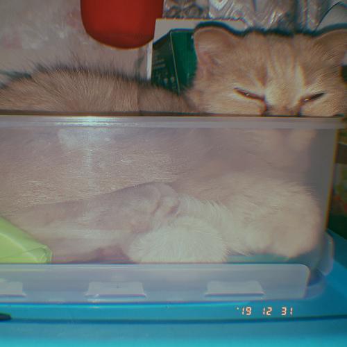 ปีโป้สีส้ม