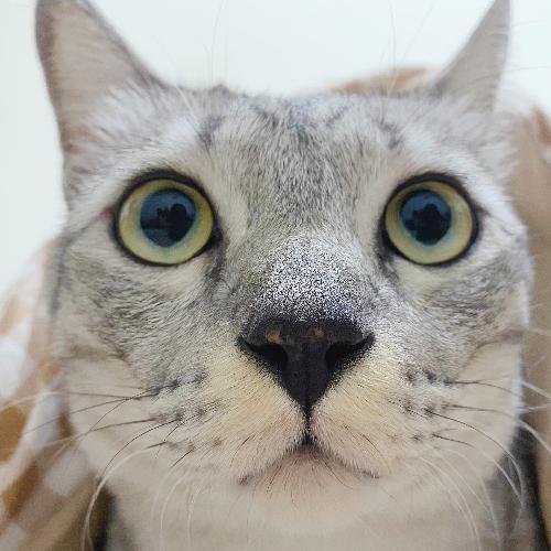 สมาชิกหมายเลข 5883790