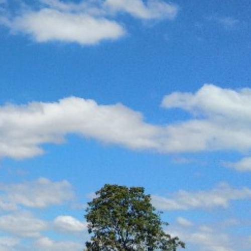 สมาชิกหมายเลข 6289480