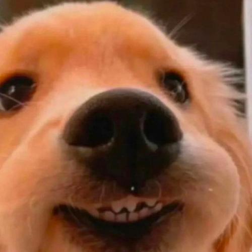 สมาชิกหมายเลข 5893241