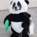 สมาชิกหมายเลข 4106876