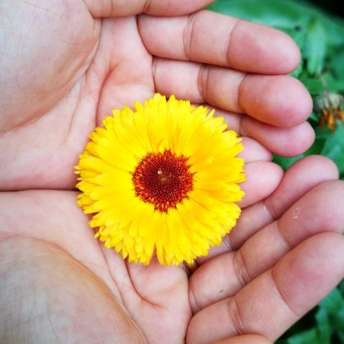 สมาชิกหมายเลข 3728606