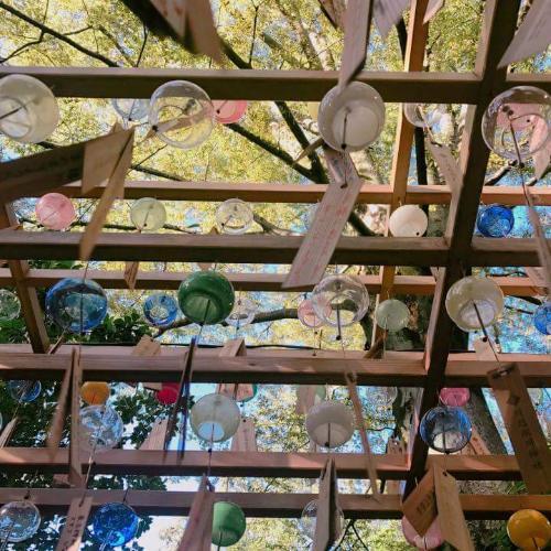 สมาชิกหมายเลข 2987668