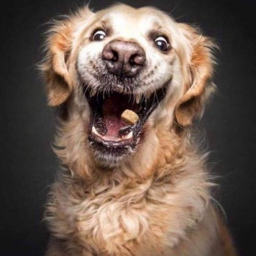 สมาชิกหมายเลข 3263963