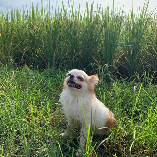 สมาชิกหมายเลข 3917209