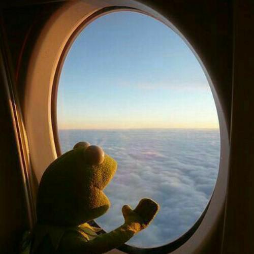 สมาชิกหมายเลข 5553262