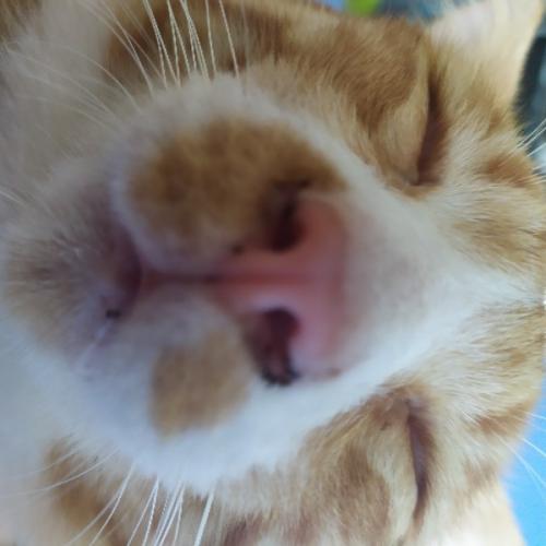 สมาชิกหมายเลข 6792251