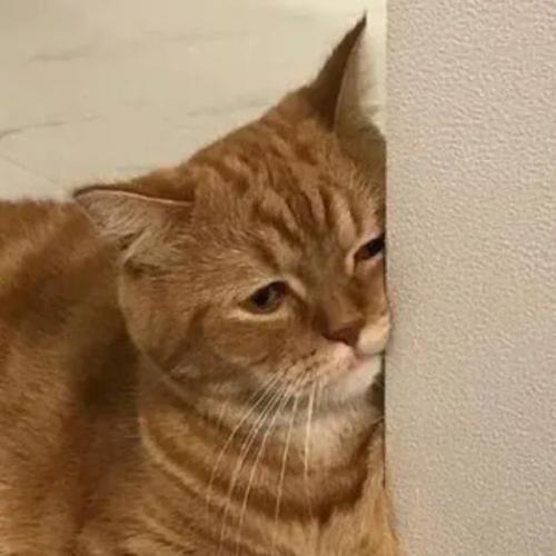 สมาชิกหมายเลข 4109819