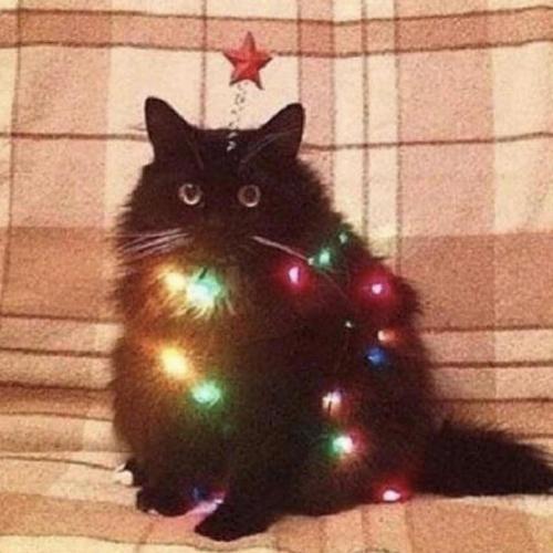 สมาชิกหมายเลข 6808276