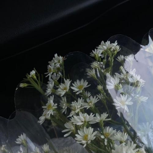 สมาชิกหมายเลข 8682737