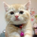 สมาชิกหมายเลข 4107483