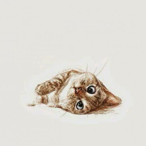 สมาชิกหมายเลข 973423