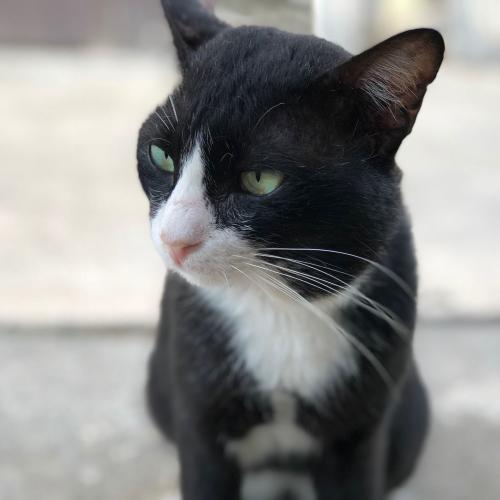 สมาชิกหมายเลข 1977484