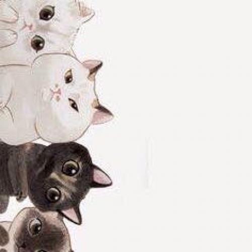 สมาชิกหมายเลข 4537592