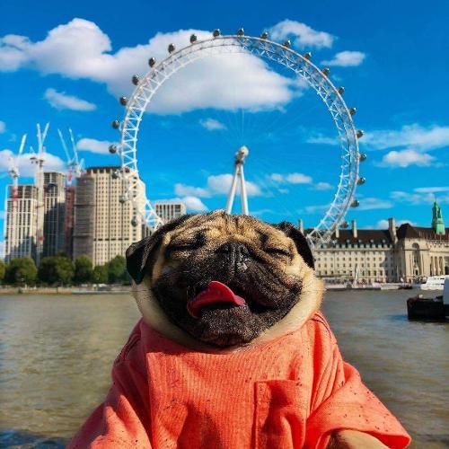 สมาชิกหมายเลข 2106084