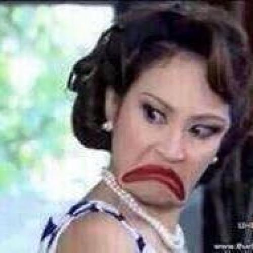 สมาชิกหมายเลข 3590488