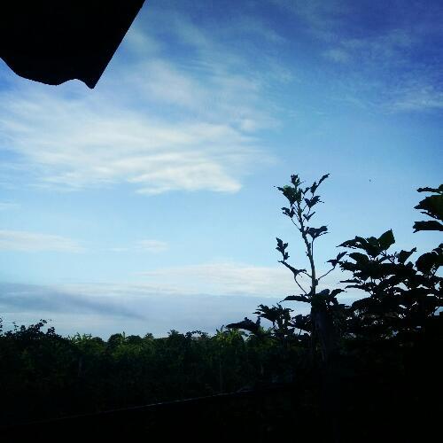 สมาชิกหมายเลข 4539136