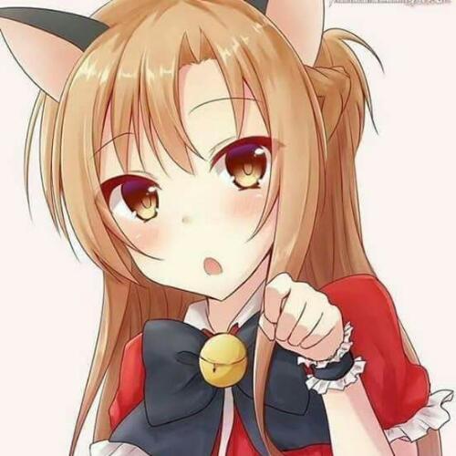 สมาชิกหมายเลข 4877304