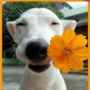 สมาชิกหมายเลข 5265643