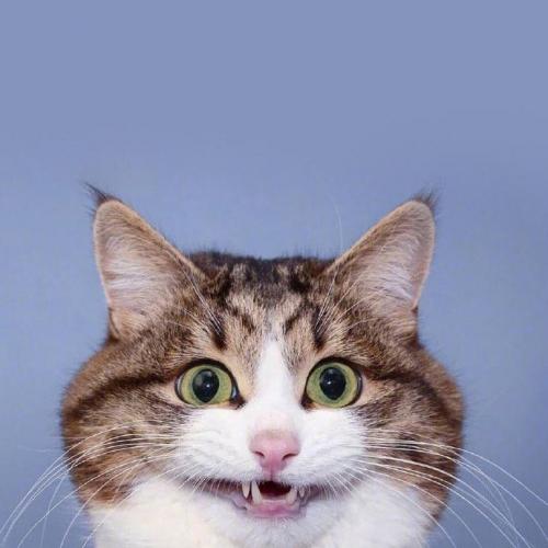 สมาชิกหมายเลข 5269067