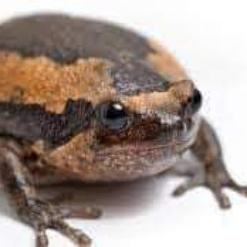 สมาชิกหมายเลข 5709872