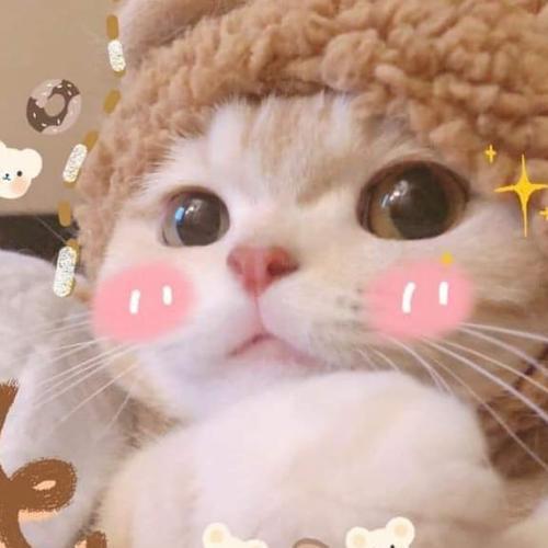 สมาชิกหมายเลข 6290611