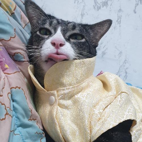 สมาชิกหมายเลข 2875940