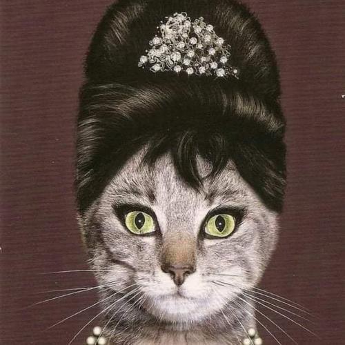 สมาชิกหมายเลข 5044650