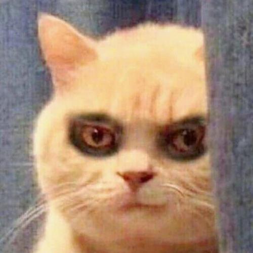 สมาชิกหมายเลข 6966351