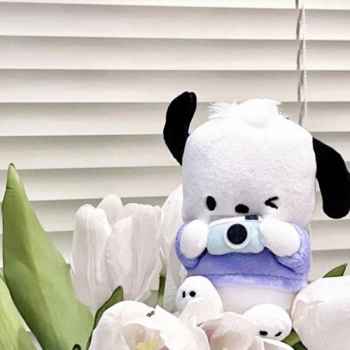 สมาชิกหมายเลข 7729622