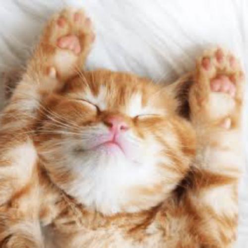 สมาชิกหมายเลข 8683720