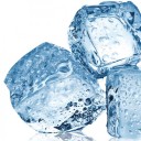 สมาชิกหมายเลข 2352187