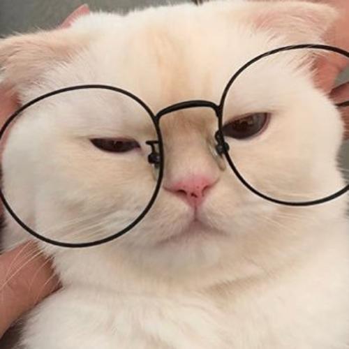 สมาชิกหมายเลข 1014405