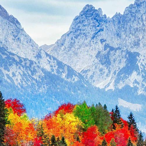 สมาชิกหมายเลข 4877828