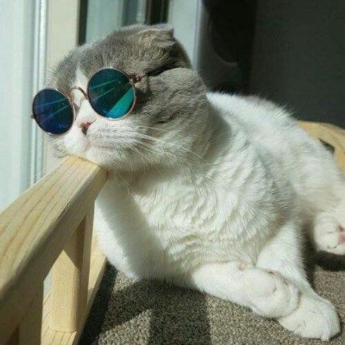 สมาชิกหมายเลข 4877831