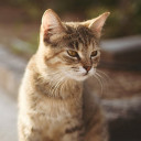 สมาชิกหมายเลข 979068