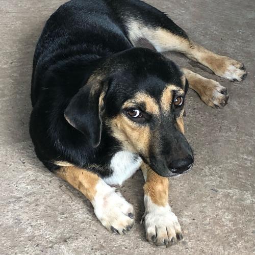 สมาชิกหมายเลข 2946483