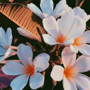 สมาชิกหมายเลข 5270614