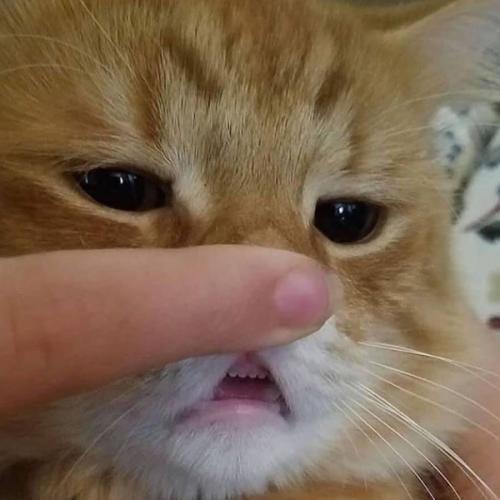 สมาชิกหมายเลข 5710382