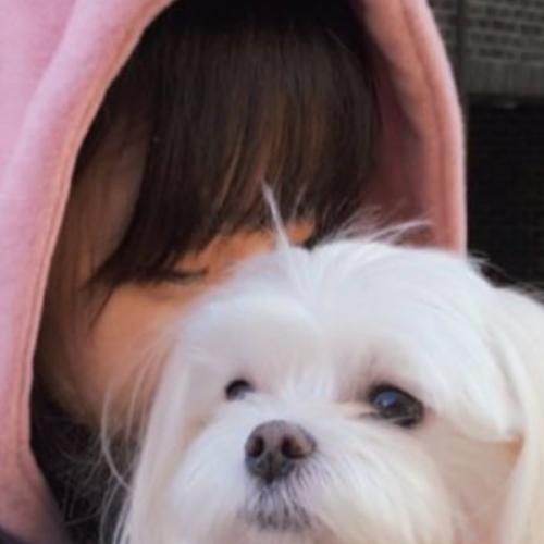 สมาชิกหมายเลข 6291438