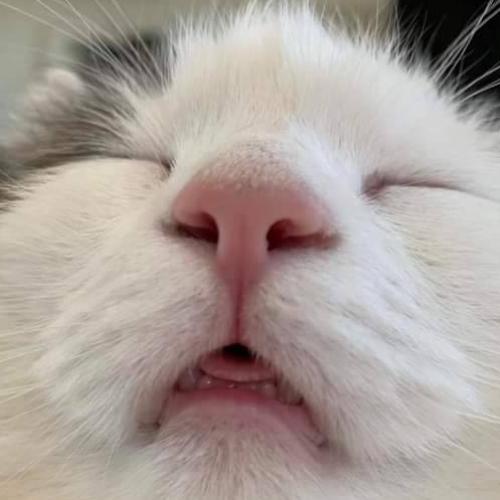 สมาชิกหมายเลข 4709931