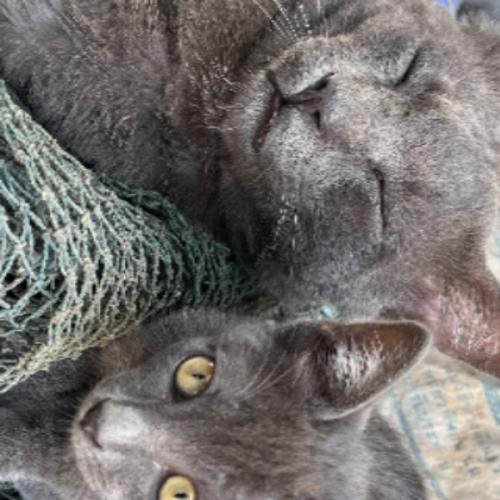 สมาชิกหมายเลข 3963716