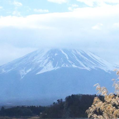 สมาชิกหมายเลข 8667271