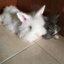 สมาชิกหมายเลข 3515280