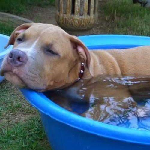 สมาชิกหมายเลข 2979286