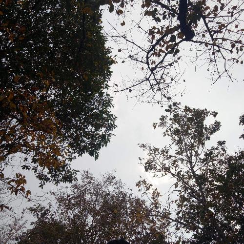 สมาชิกหมายเลข 4132484