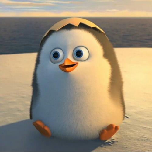 สมาชิกหมายเลข 4278688